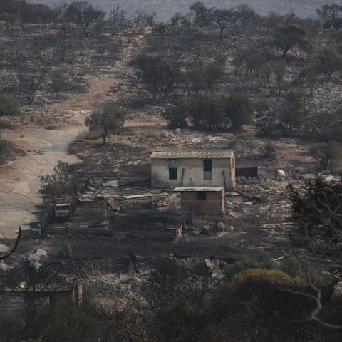 Συγκλονίζουν οι εικόνες από τη μεγάλη φωτιά στη Μάνδρα-Καμένα σπίτια, ζώα και αυτοκίνητα