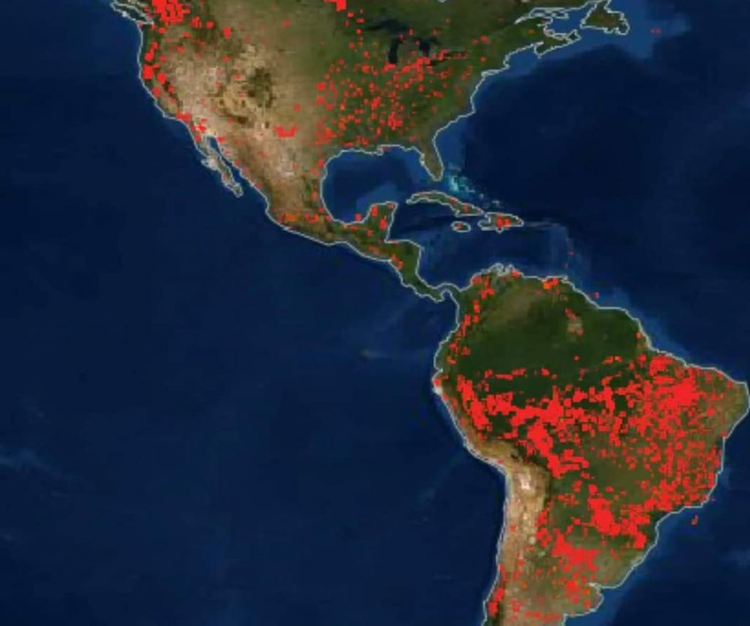 c8e73361-51ea-4c1f-a4e2-64945807b4eb.jpg