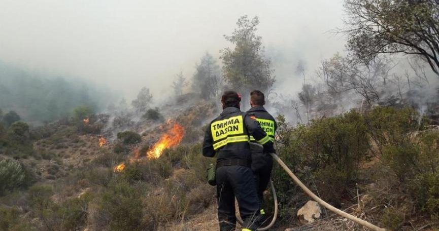Υπό πλήρη έλεγχο πυρκαγιά στην κοινότητα Αγίου Γεωργίου Καυκάλλου