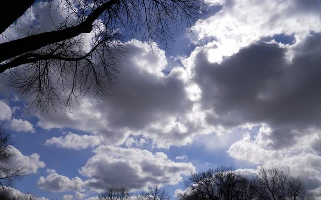 ba2f8aaa-6272-43c7-a44c-1504a0033fa2.jpg