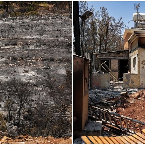 Ζημιές σε 191 κατοικίες, κάηκαν 120 οχήματα-Συνεχίζεται η καταγραφή ζημιών στην ορεινή Λεμεσό (pics)