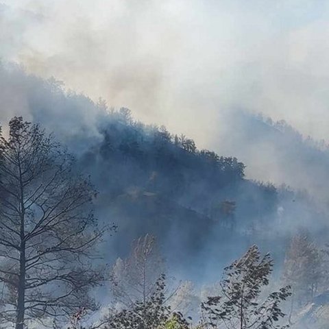 Να δοθεί προκαταβολή στους καλλιεργητές Φαρμακά ζητά από Παναγιώτου η ΕΚΑ