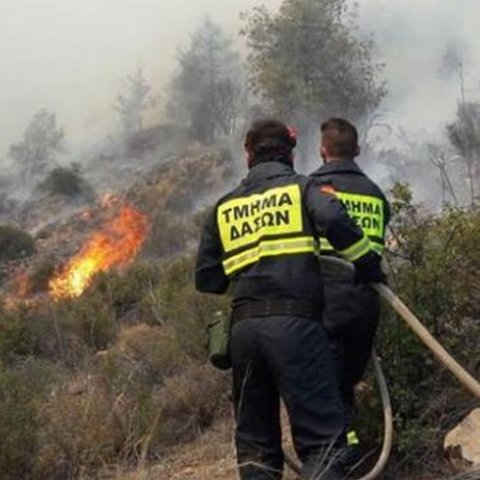 Κατέκαψε χαμηλή άγρια βλάστηση η φωτιά στη Φύτη