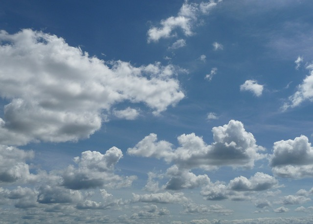 2d18b222-8762-43ac-b899-137684790001.jpg