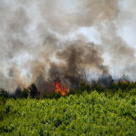 Υπό έλεγχο το πολλαπλό πύρινο μέτωπο στην Ηλεία-Σε ύφεση οι φωτιές σε Ρόδο, Κέρκυρα και Μαγνησία