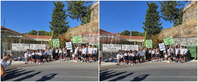 d2fb9881-efcc-40f8-920e-a28240cfd9d9.jpg