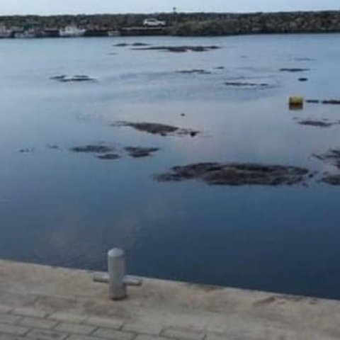 Έργα για επίλυση των προβλημάτων στο αλιευτικό καταφύγιο Κάτω Πύργου-«Έχουν παγιδευτεί σκάφη μέσα»
