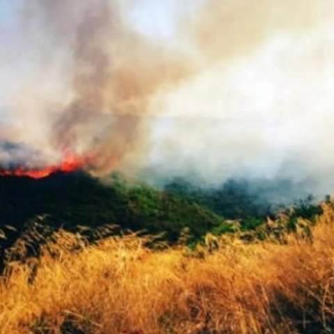 Πάνω από 350 πυρκαγιές σε παράνομους σκυβαλότοπους σε έξι μήνες-«Κακή διαχείριση αποβλήτων»