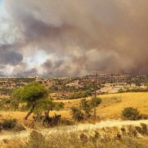 Δεν υπήρξαν αναφορές για ζημιές σε οικιστικές μονάδες από την πυρκαγιά στην Πάφο