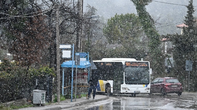 51c805e0-a94b-487d-a43d-d46c067c4196.jpg