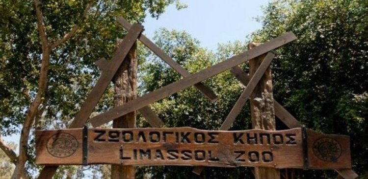 zoo