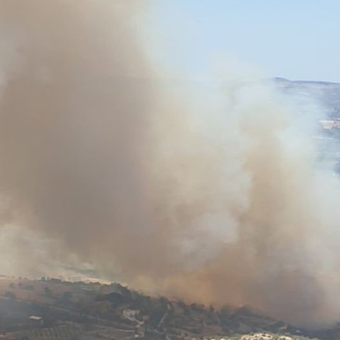 Κινδυνεύουν εξοχικές κατοικίες από πυρκαγιά στην Πάφο-Στη μάχη πτητικά μέσα (pics)