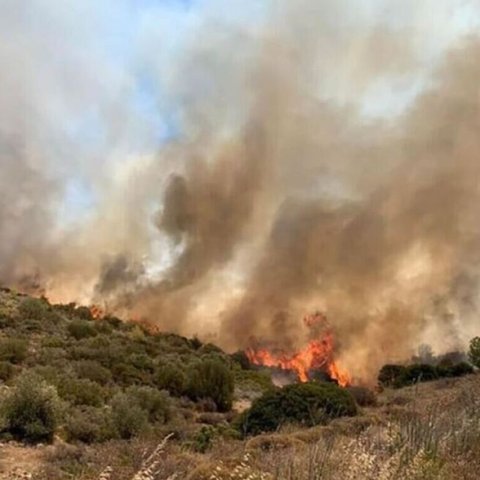 Σε Έβρο και Ροδόπη τα κρίσιμα μέτωπα-Μάχη με 105 πυρκαγιές δίνουν οι δυνάμεις πυρόσβεσης