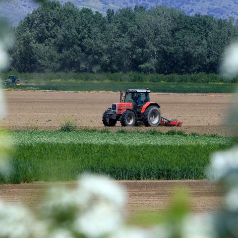 Επαναξιολόγηση τρόπου επιβολής ΦΠΑ στον πρωτογενή τομέα ζητά η Επιτροπή Εμπορίου