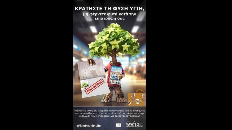 planthealth4life_M4aPLgO.width-750