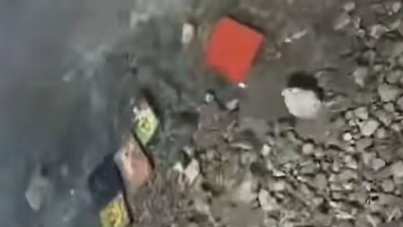 30737_.jpg