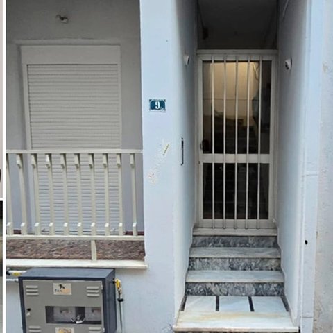 Κατακρεούργησε τη μητέρα του γιατί του είπε πως δεν εργάζεται ο 21χρονος-Έβγαλε βόλτα τα σκυλιά μετά τη δολοφονία
