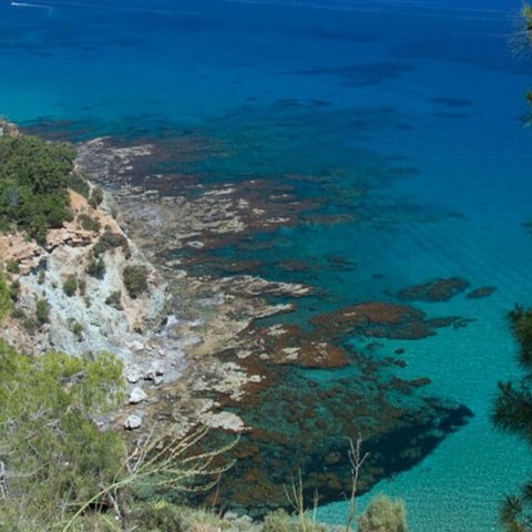 Καταγγέλλουν συνέχιση της παράβλεψης παραβάσεων στον Ακάμα οι περιβαλλοντικές οργανώσεις