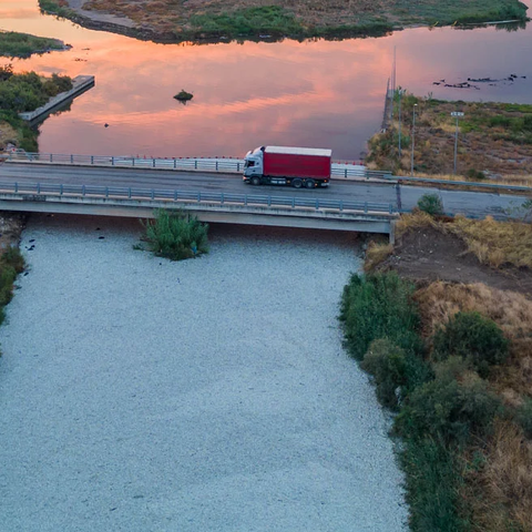 Απίστευτες εικόνες από Drone δείχνουν «θάλασσα» νεκρών ψαριών στον Βόλο