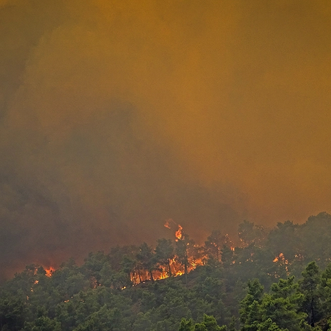 Συνεχείς μάχες με αναζωπυρώσεις στα τρία μέτωπα της Ρόδου-Σε γυμναστήρια και σχολεία χιλιάδες τουρίστες