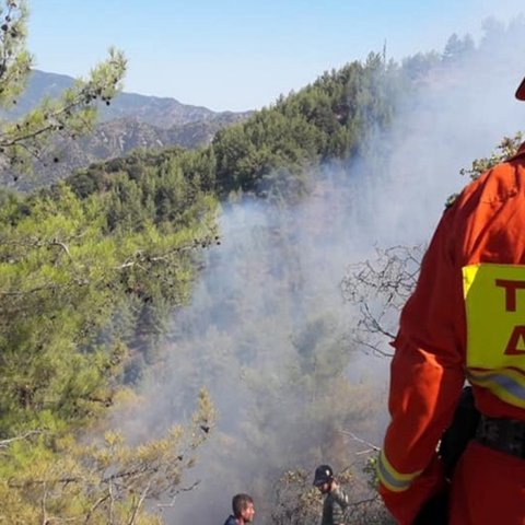 Πυρκαγιά στον Καταλιόντα κινητοποίησε το Τμήμα Δασών-Έκαψε μικρή έκταση από άγρια βλάστηση