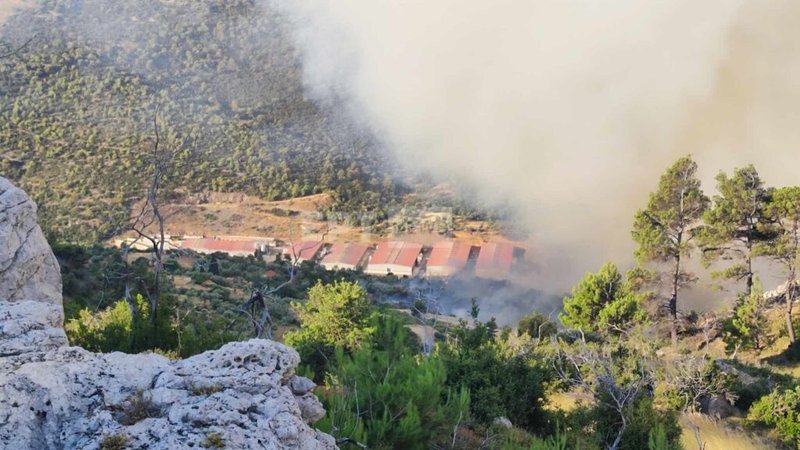 SIOMOS-XOIROTOFIKI50-1024x576