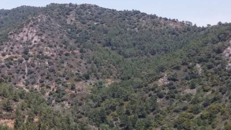 6.-Χωράφι-στους-Αγίους-Βαβατσινιάς