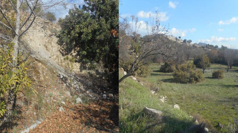6.-Χωράφι-στους-Αγίους-Βαβατσινιάς