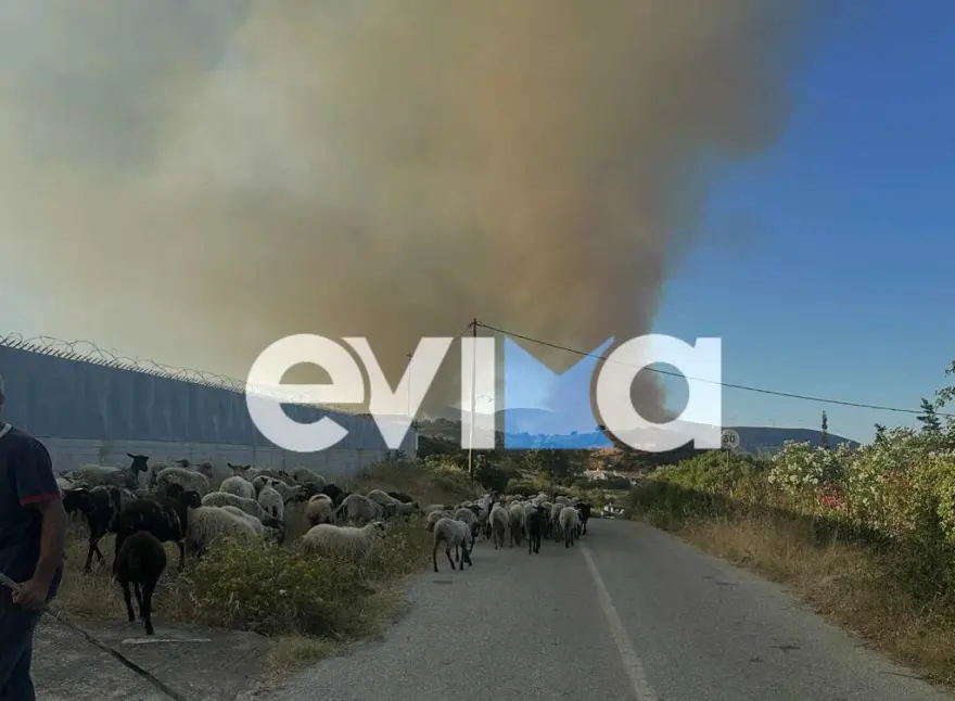 fotia-euboia2
