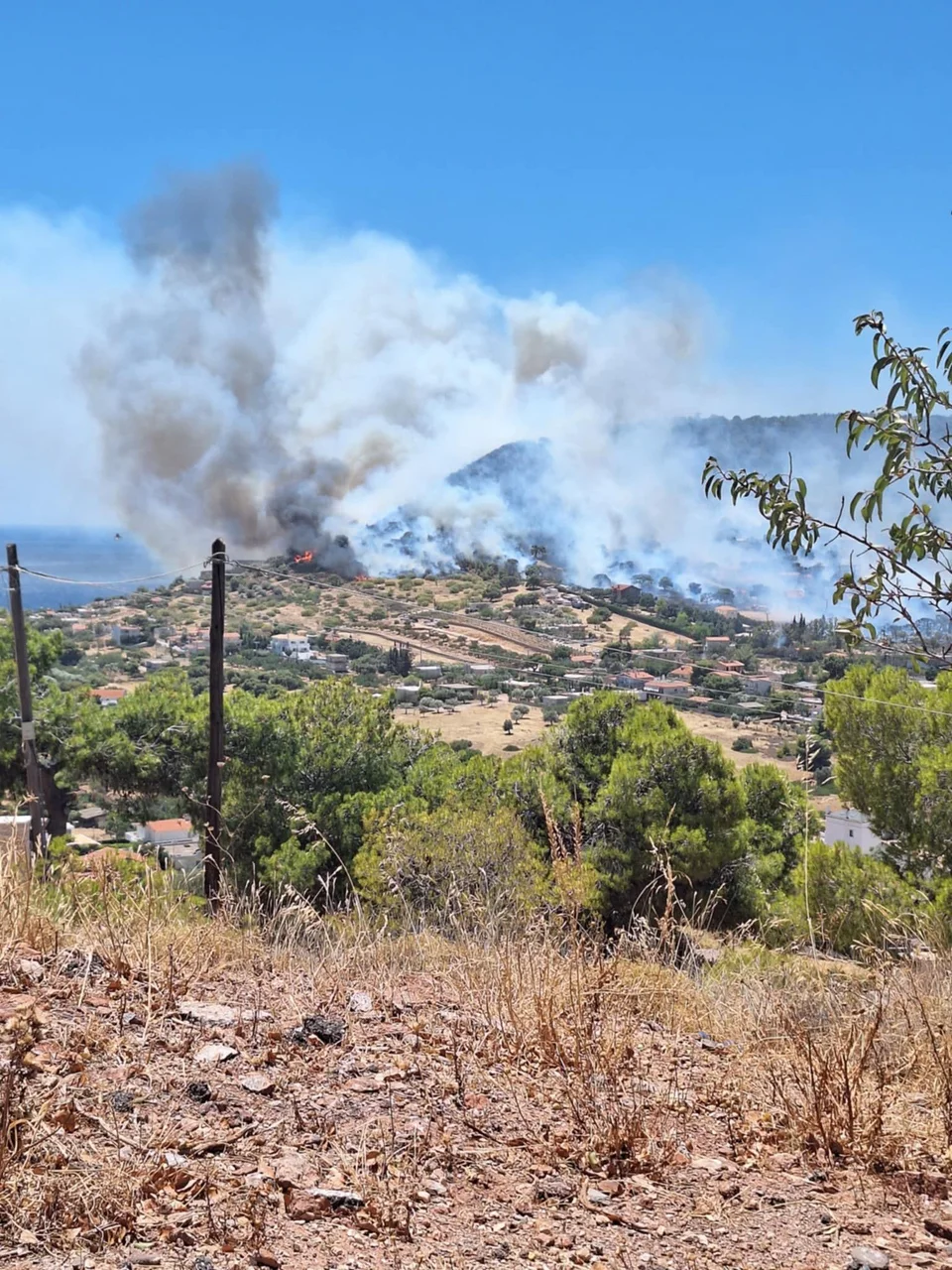 fotia-koropi-15.jpg