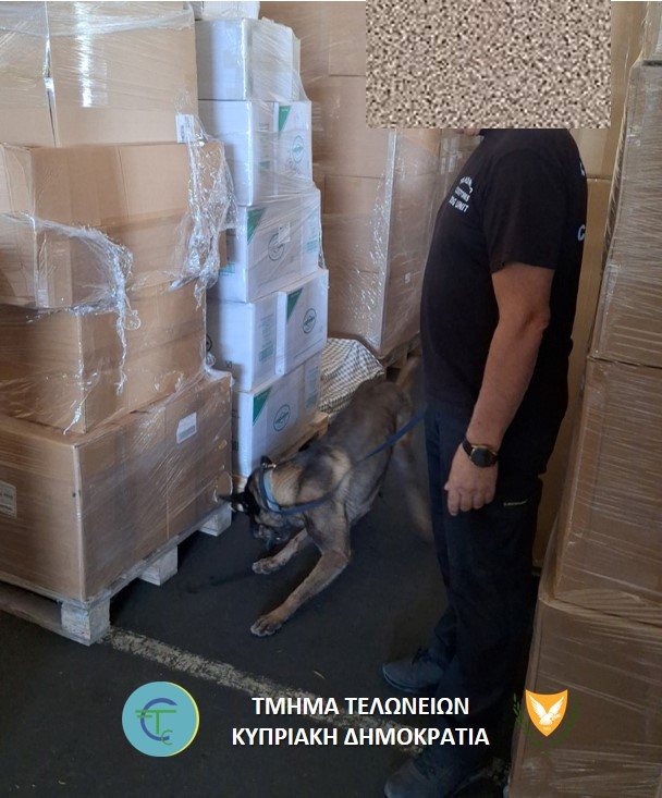 K9_1